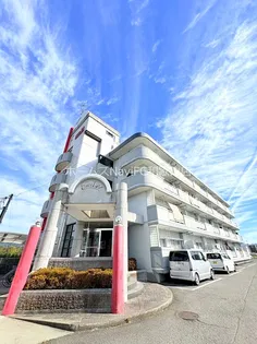 エクセル21の画像
