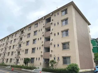公田ハイツ6号棟【4階】の外観
