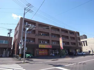 岐阜県岐阜市茜部菱野3【マンション】の外観