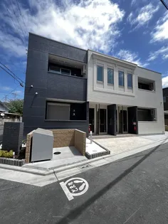 SCHAAN CARTERの画像