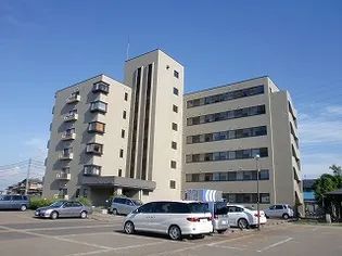 ハイライフ新和【3階】の外観
