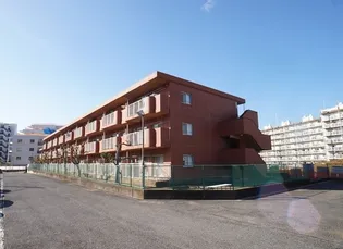 ミリアビタNO 26の画像