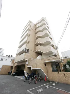 メイフェア塩付の画像