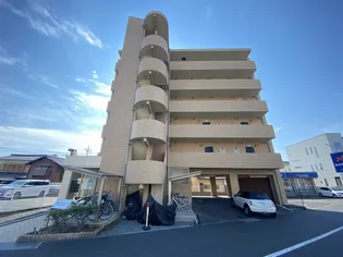 ラホヤハナクマの画像