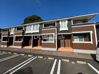 ステラ ポラーレ ウーノの画像