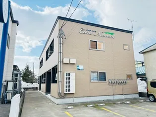 カーサナルミの画像