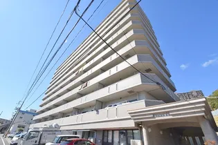 ロイヤル竜王の画像