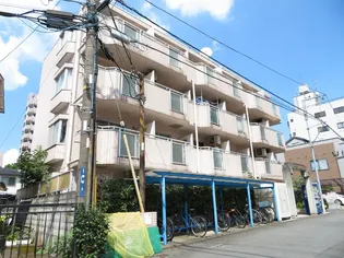 マキシス本厚木の画像