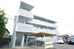 プラスニシジマの画像