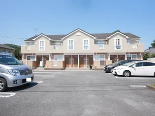 グラン シェルIIの画像