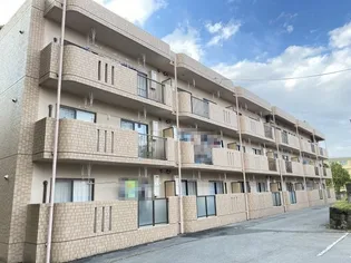 フリーヒル五駄鱈の画像