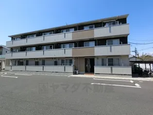 ヴィクトワールの画像