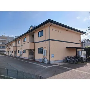 セトルエミの画像