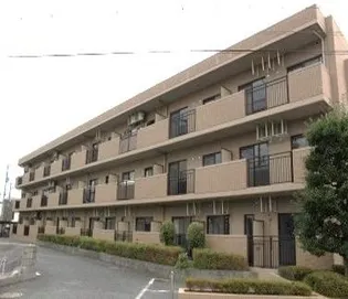 DEAR COURT明の春の画像