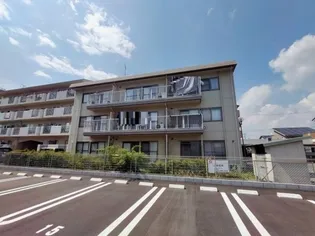 トリヴァンベール 鷹取の画像