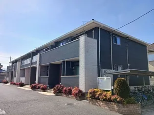 ラヴィータ IIIの画像