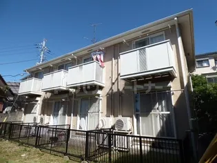 シャルムトキタの画像