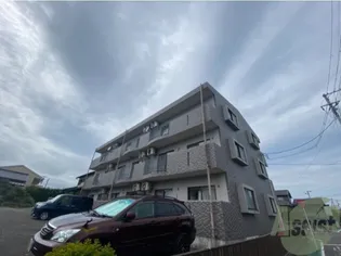 ベルフラワーの画像