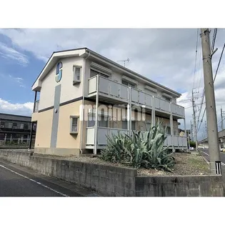 サープラスワン杉藤の画像
