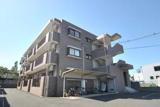 フローラルコートの画像