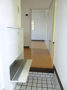 阪東ヒルズA【1階】の玄関