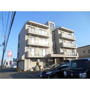 ヤマネBLDの画像