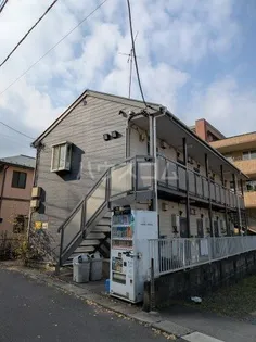 セレブリティ生田の画像