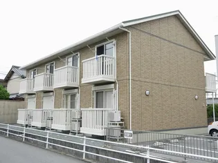 エーマミイの画像