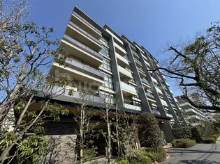 ブランシエスタ王子の画像