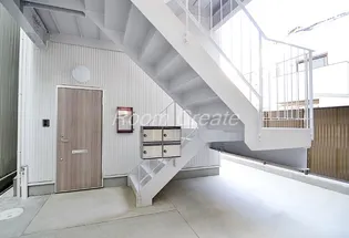 カサオリーブの画像