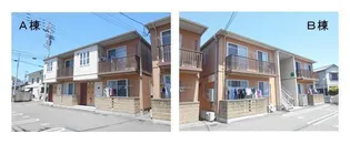 ブランシェ桜の画像