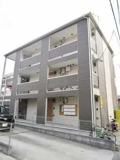ドルフィンスルーの画像