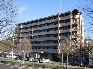 菊田参番館【5階】の外観