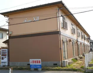 FINE 12の画像