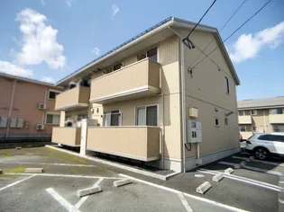 ショコラール シュー Bの画像