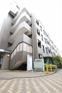 アリエルの画像