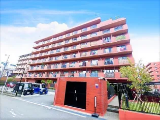 タイガーアネックスの画像