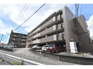 グレースヌーブの画像