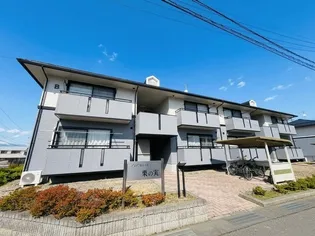 ハイカムール栗の実 Bの画像