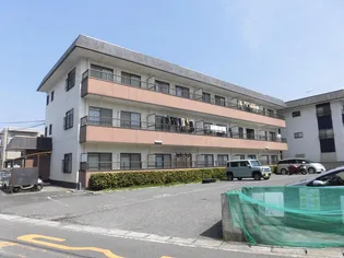 ハイツヨーコの画像