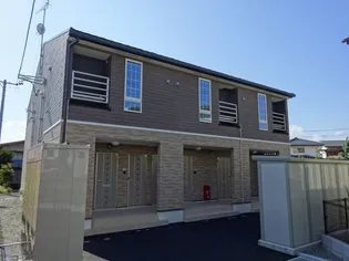 プラシードの画像