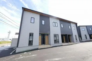 サンフラワー白尾Iの画像