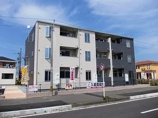 サニーヴィッツの画像