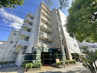 サリエラの画像