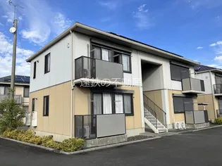 マナティーの画像