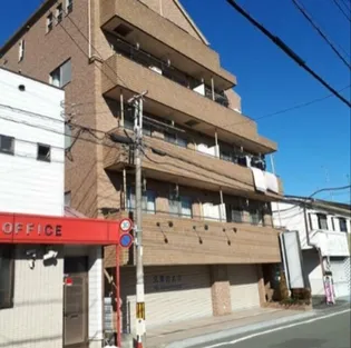 プラムグローブの画像