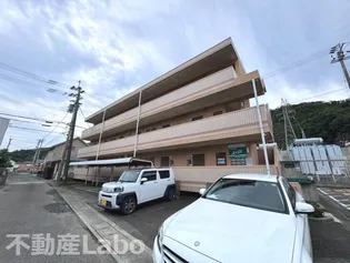 徳島県徳島市南庄町1【マンション】の外観