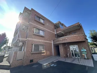 サンフィールVIIの画像