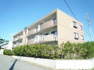 エクセリーナ21の画像