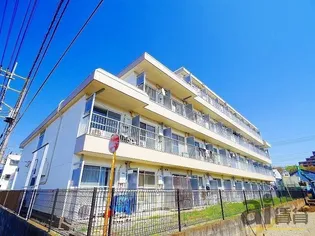 ホワイトスクエアの画像